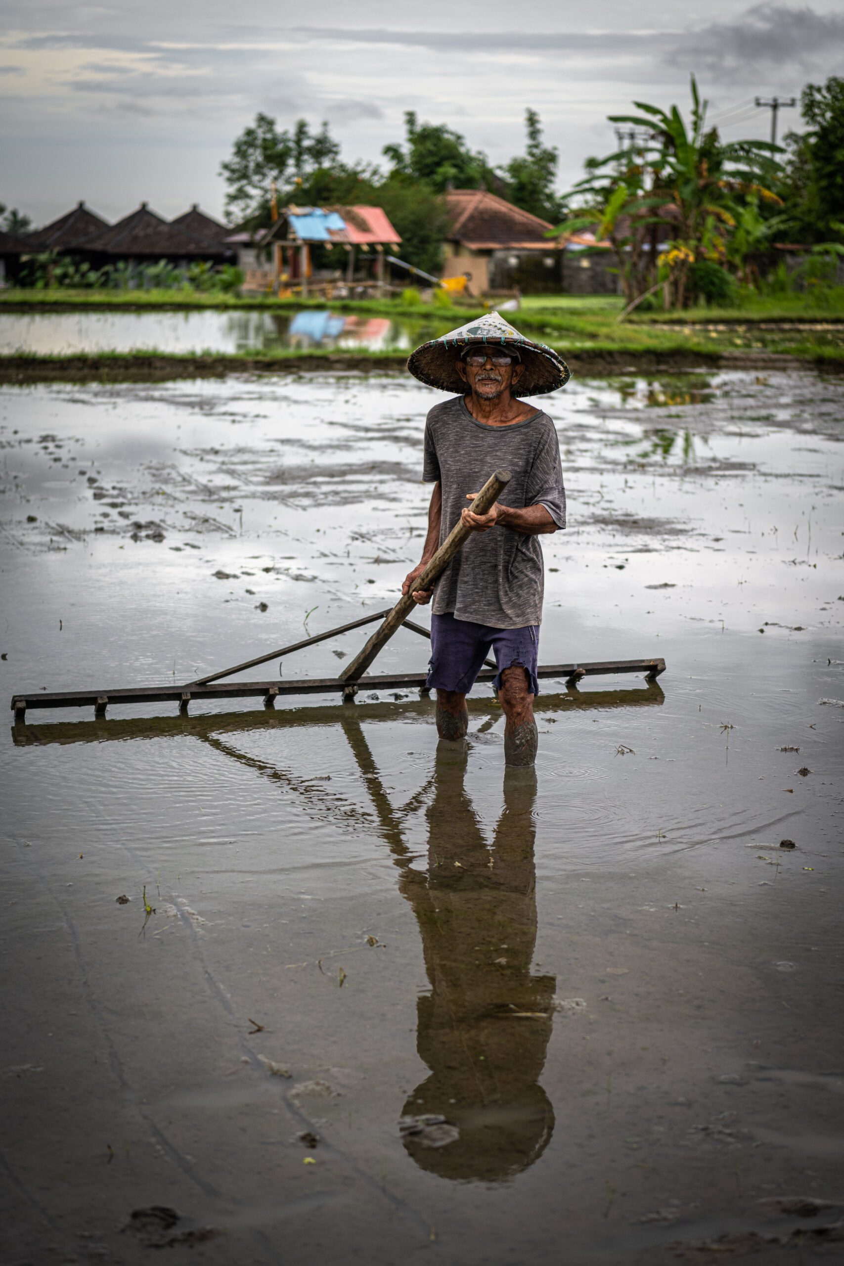 arbeider op de rijstvelden in Ubud, Bali
