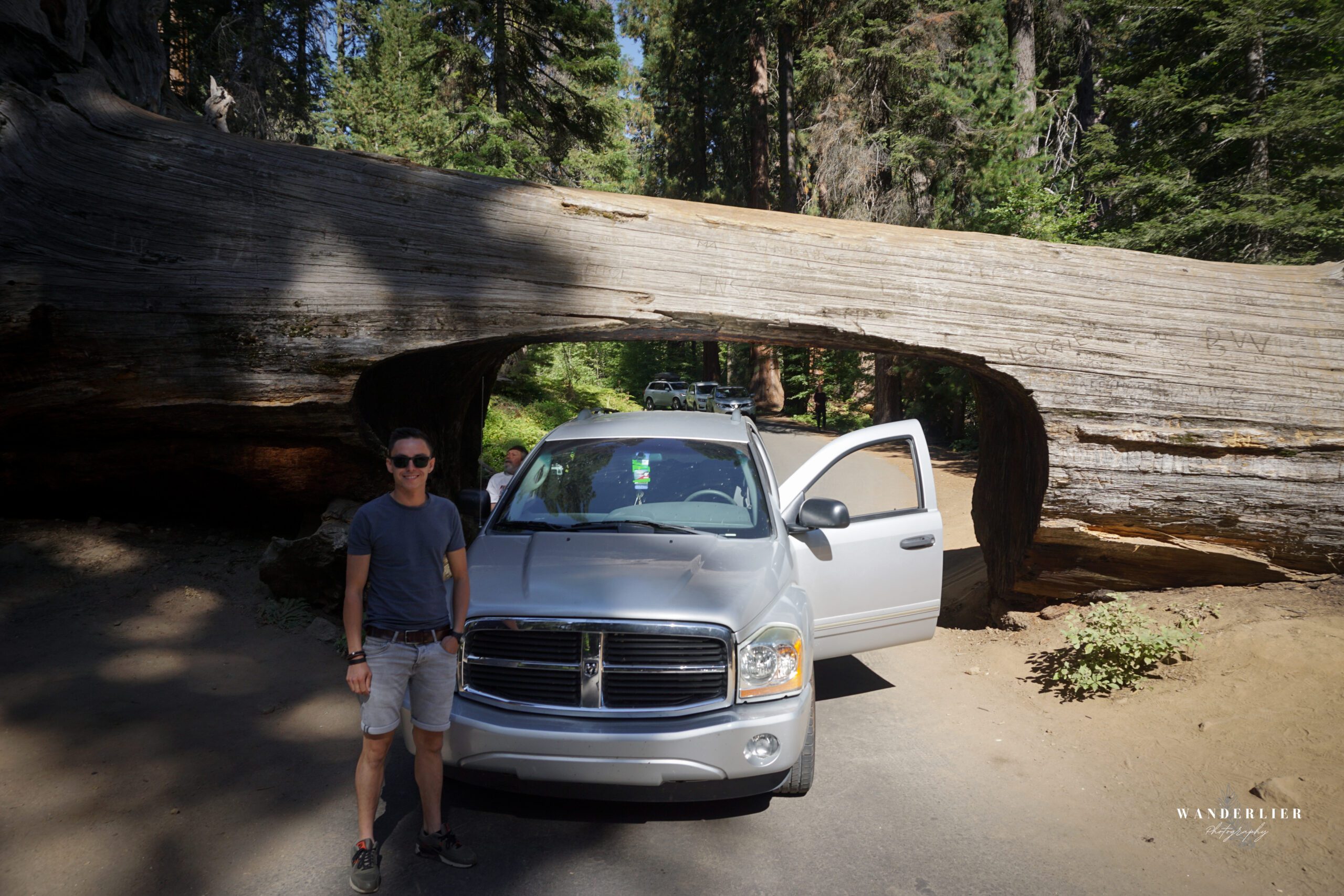 Sequoia National Park