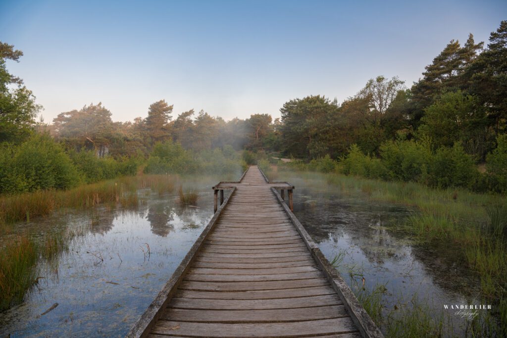 Nationaal park de Maasduinen