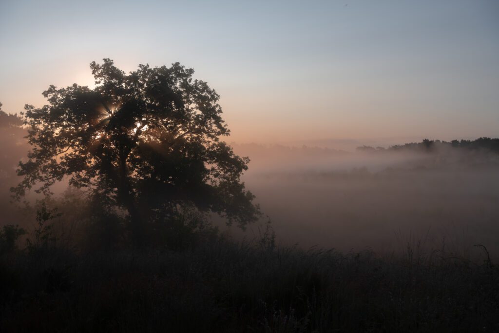 Nationaal park de Maasduinen