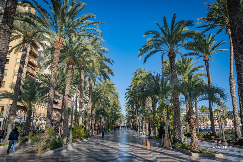 Alicante Boulevard