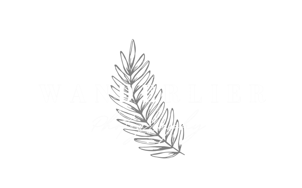 Wanderlier Photography logo aangepast