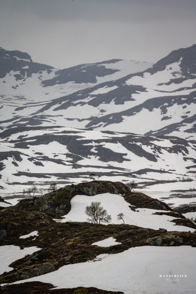 Kjelavatn