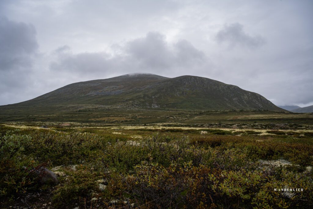 Innlandet